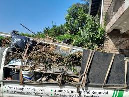 Best Hoarding Cleanup  in Panora, IA