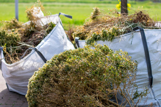 Best Office Cleanout  in Panora, IA